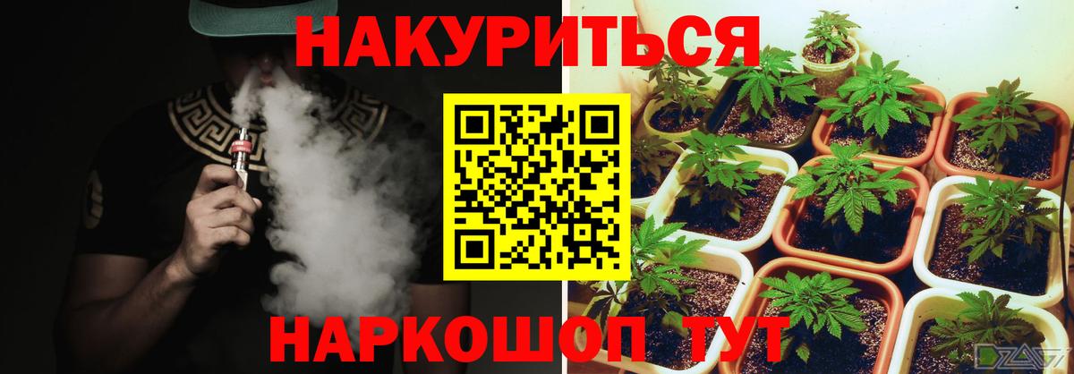 Конопля VHQ  Вход с VPN  Конопля SATIVA & INDICA  Каннабис White Widow  Орск  Конопля планчик 